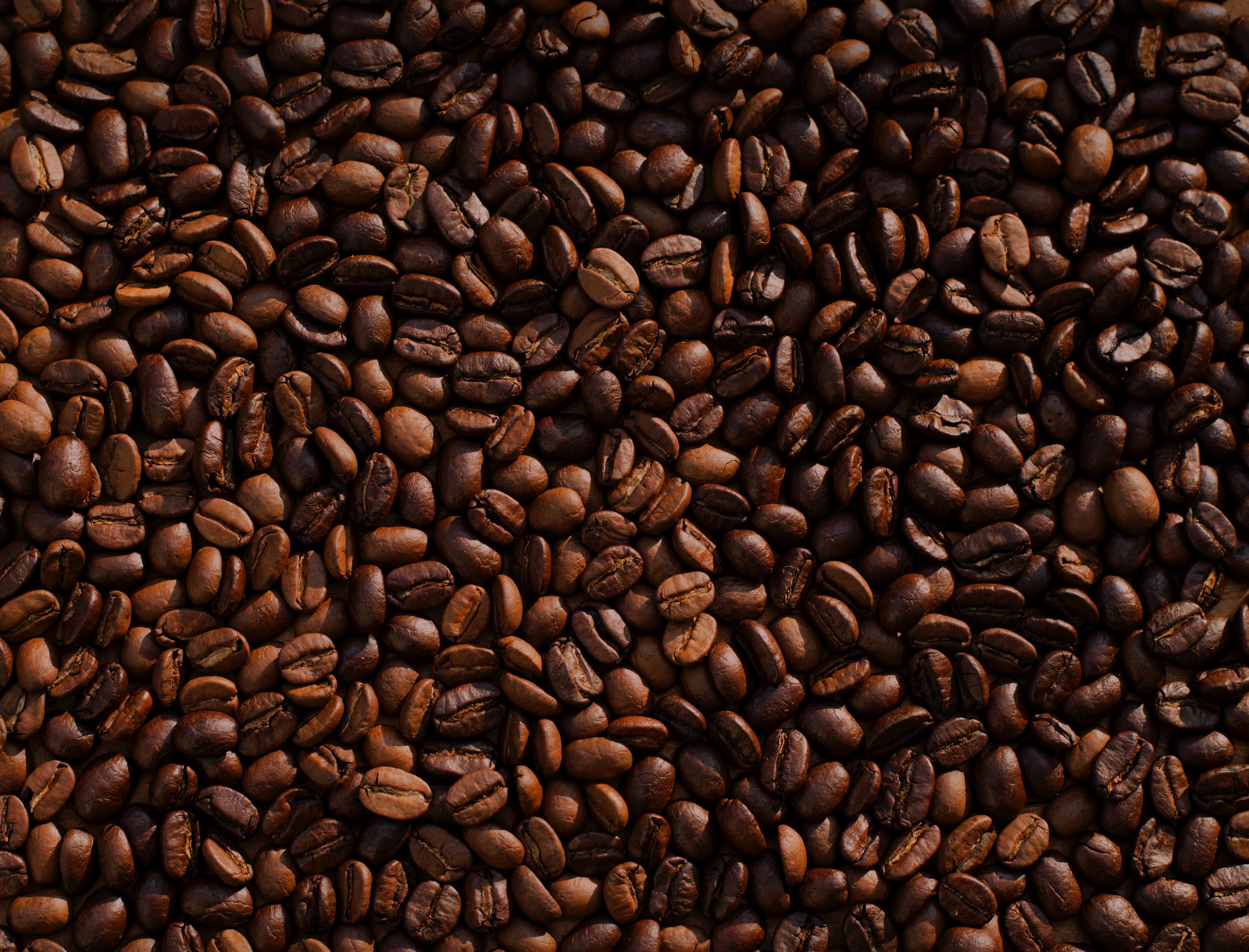 Close up of hands holding coffee beans